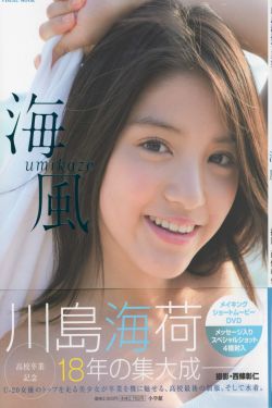 赵瑞龙